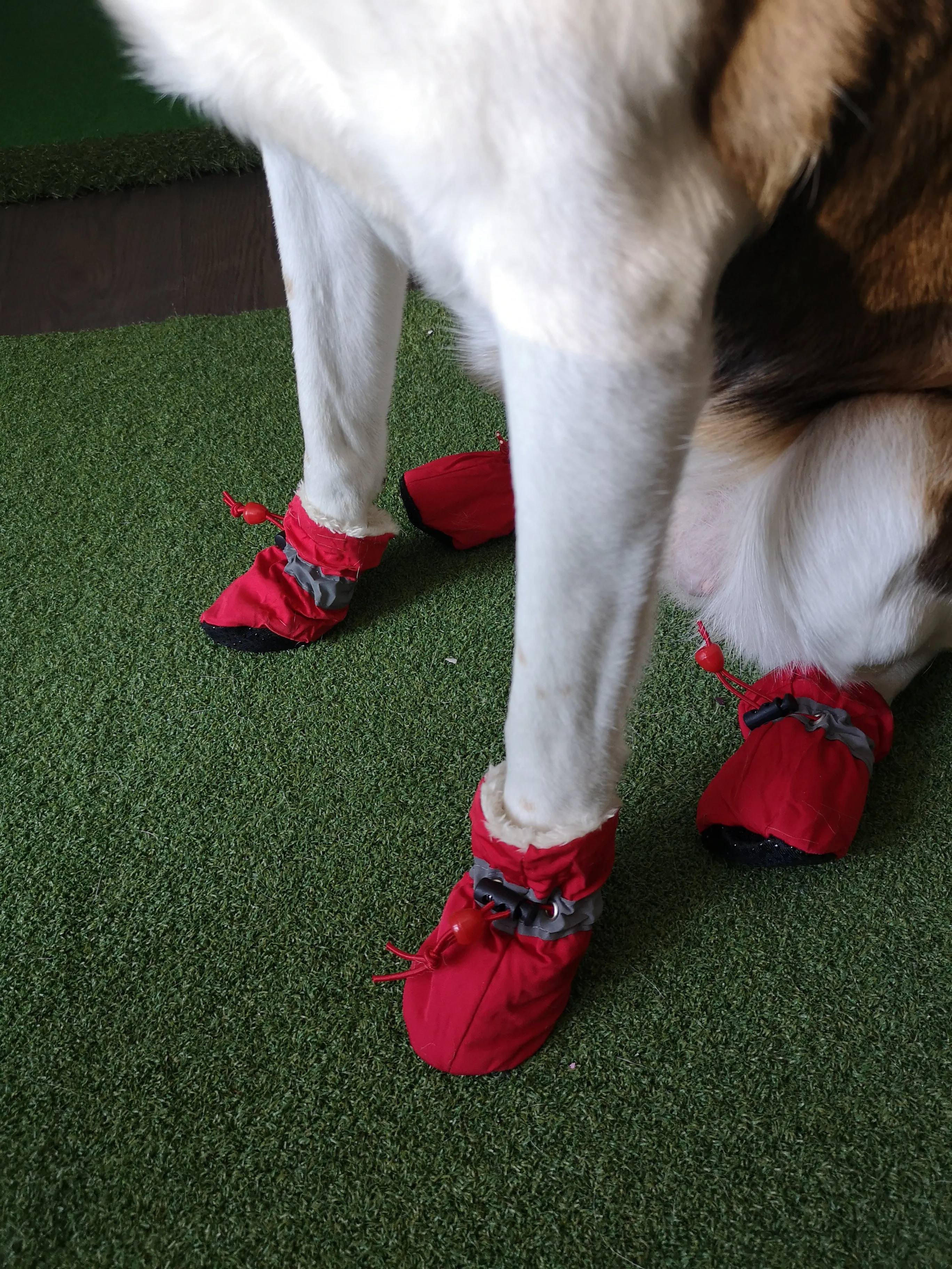 A99 PSB 4 Pcs Pet Dog Socks Anti Slip Dog Snow Boots Dog Shoes for Small Medium Size Dogs Booties Paw Protector Warm Pet Boots for Puppies