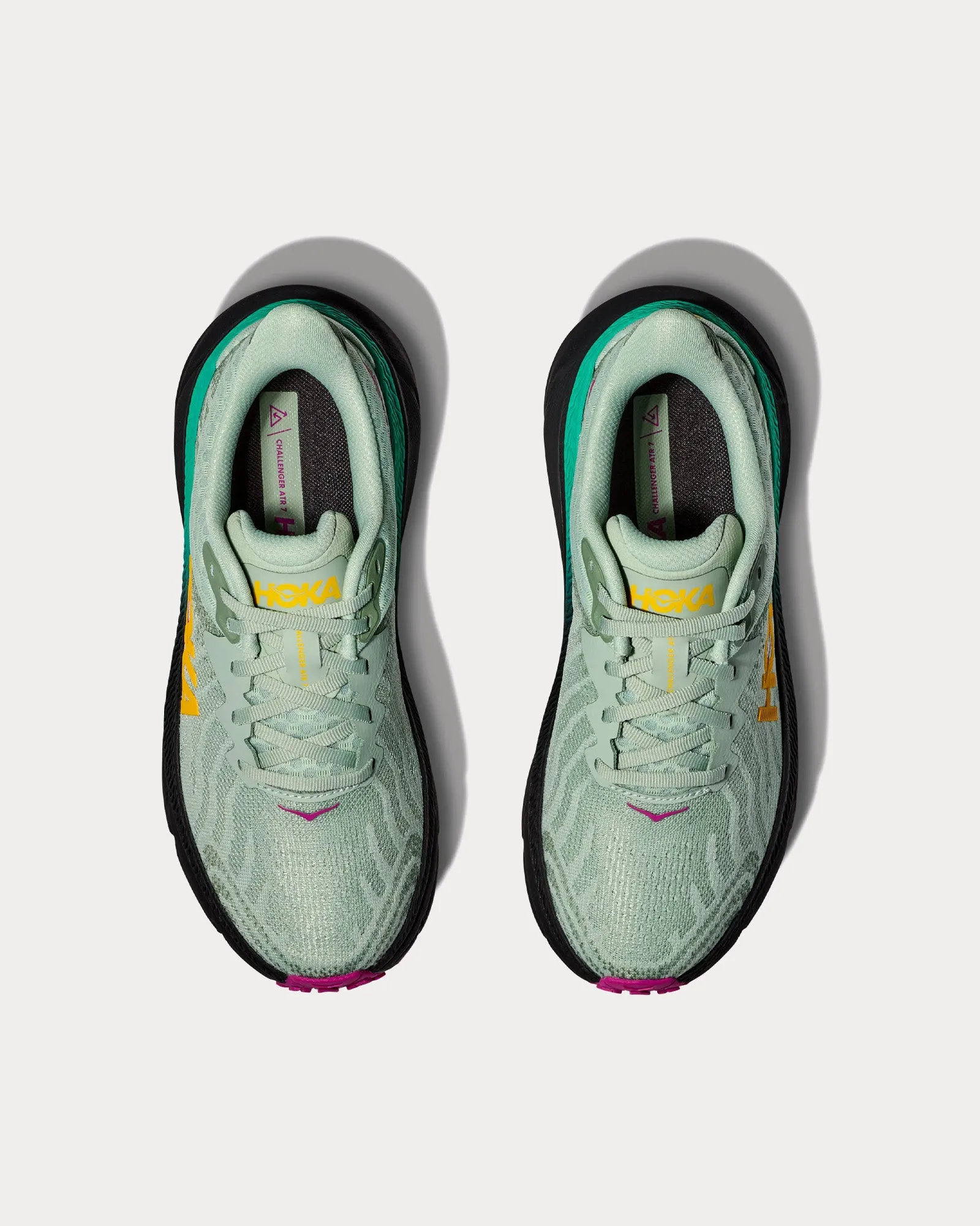 Challenger 7 Aloe Vera / Black Running Shoes