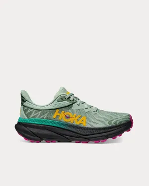 Challenger 7 Aloe Vera / Black Running Shoes