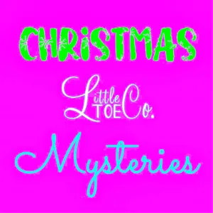 Christmas Mystery Ballet Flats