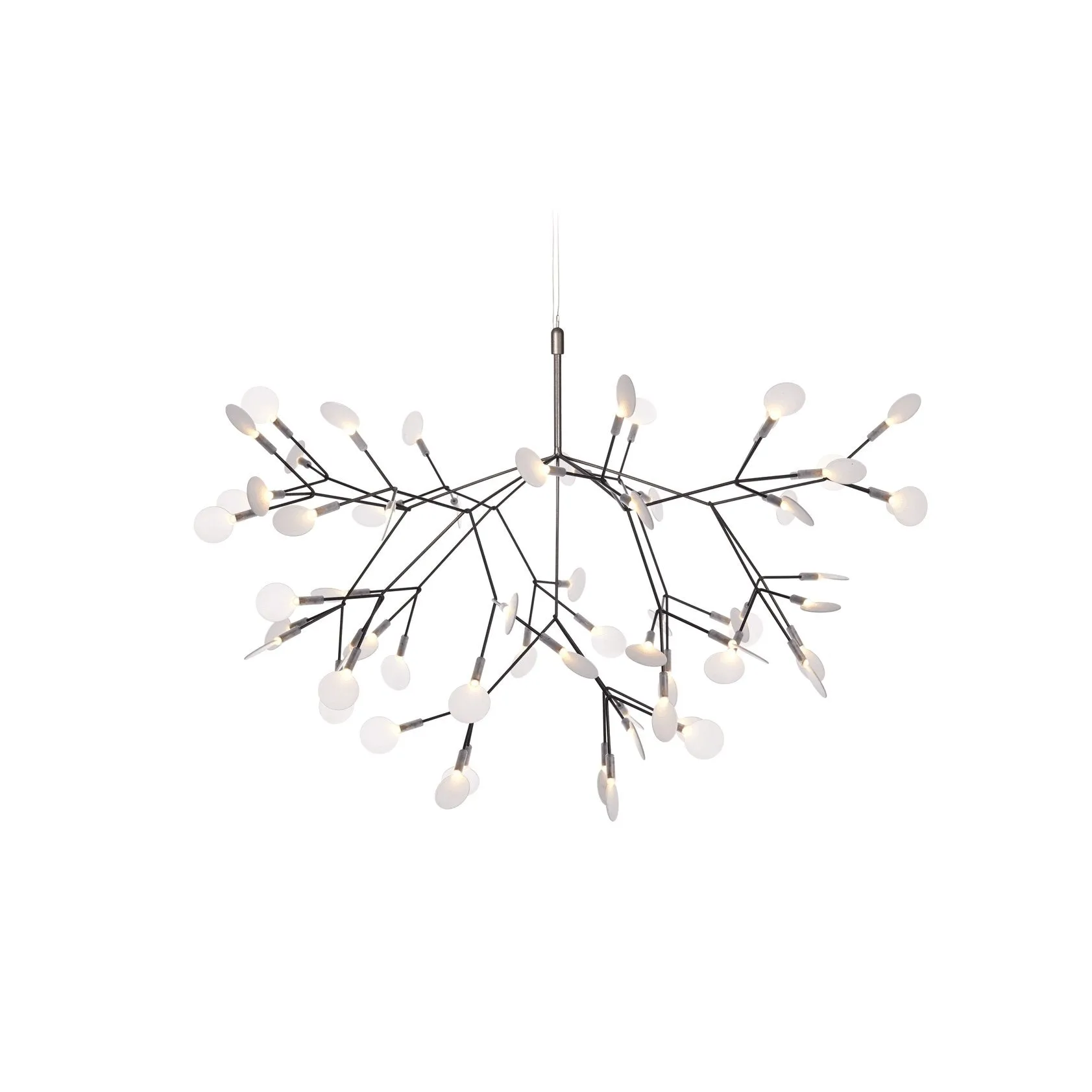 Heracleum III Suspended Light