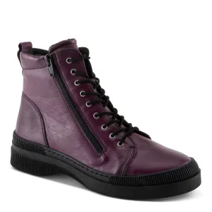 Hoylein - Purple Triangles