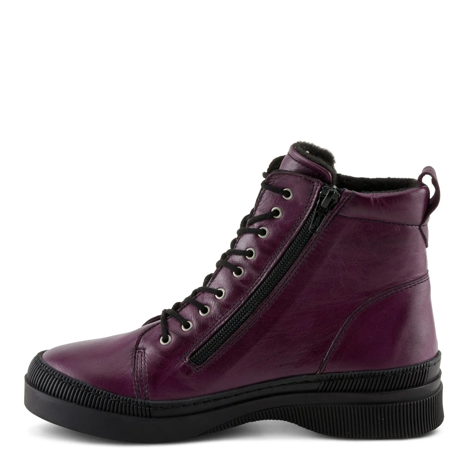 Hoylein - Purple Triangles