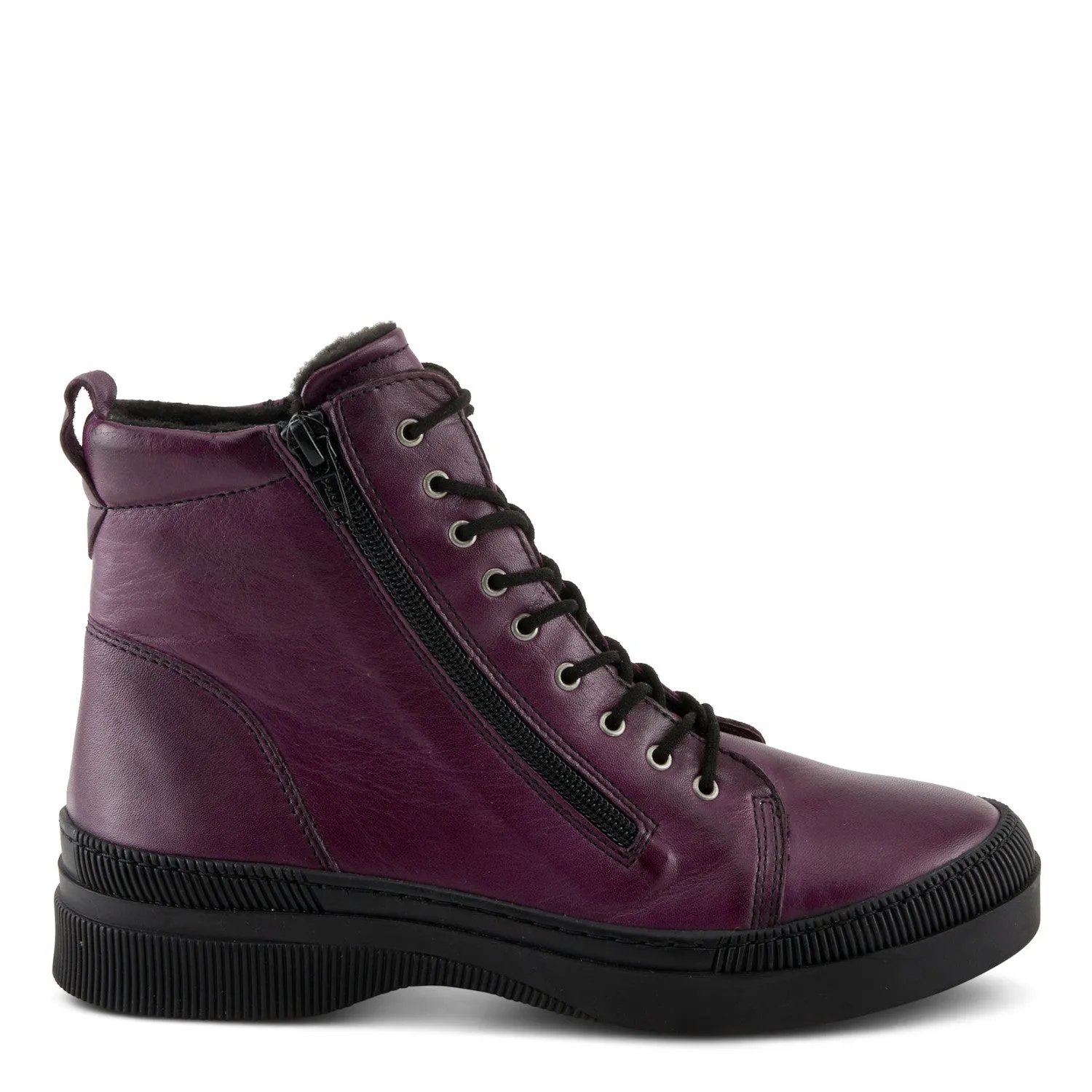 Hoylein - Purple Triangles